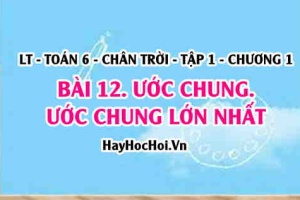Cách tìm ước chung lớn nhất, khái niệm ước chung, ước chung lớn nhất và ứng dụng? Toán 6 chân trời Tập 1 chương 1 Bài 12